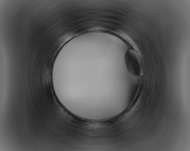 X0000086790945200705041545