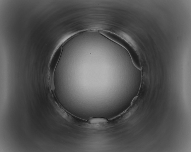 X0000086790948200705041545