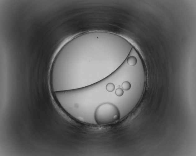 X0000086790949200705041545