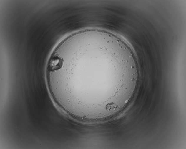 X0000086790950200705041545