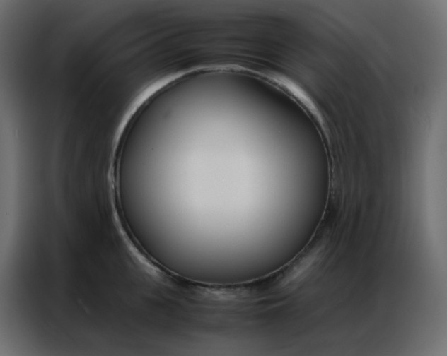 X0000086790951200705041545