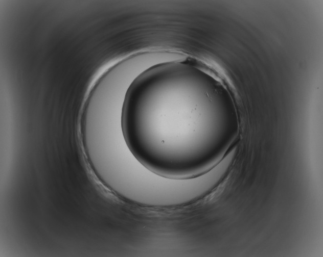 X0000086790952200705041545