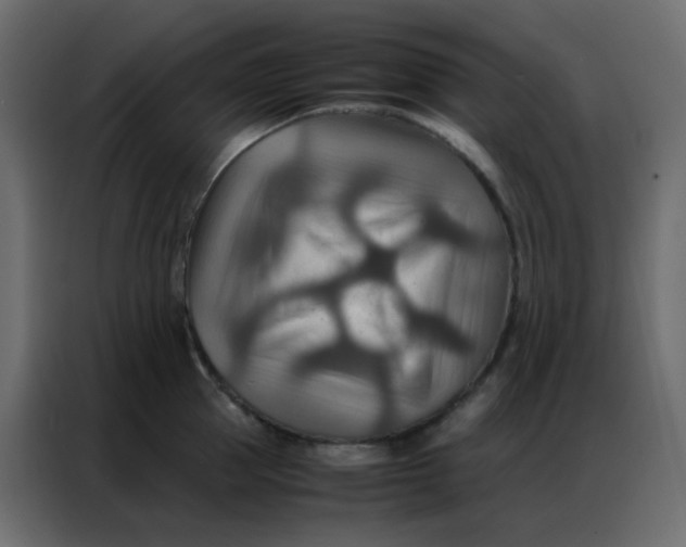 X0000086790953200705041545