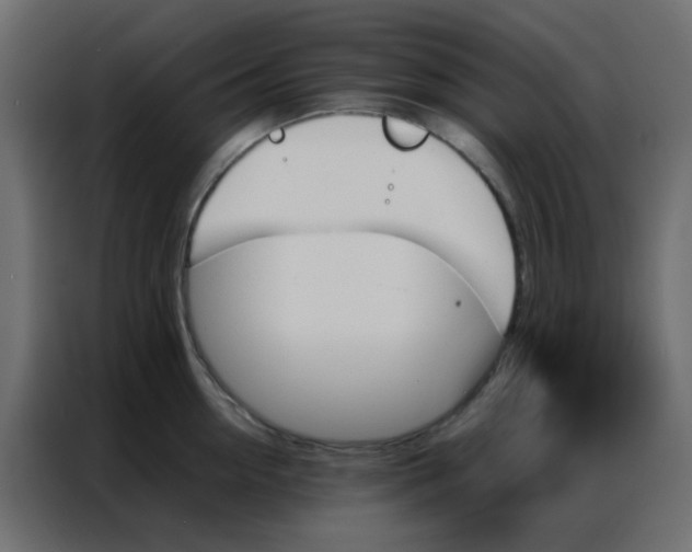 X0000086790954200705041545