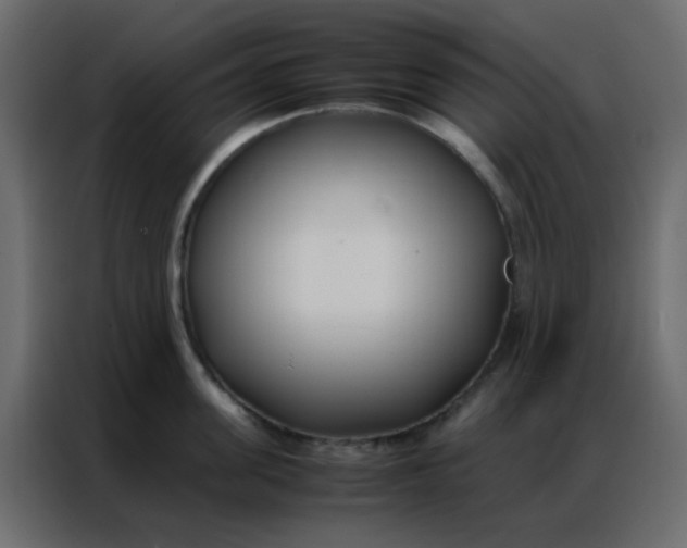 X0000086790955200705041545