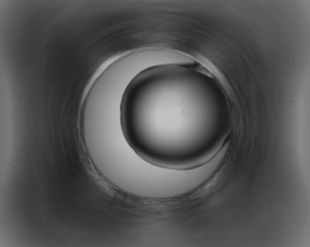 X0000086790956200705041546