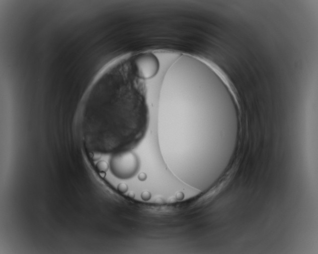 X0000086790957200705041546