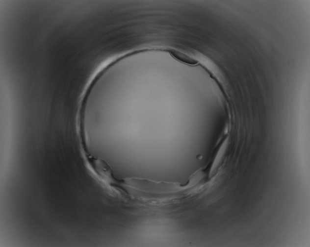 X0000086790958200705041546