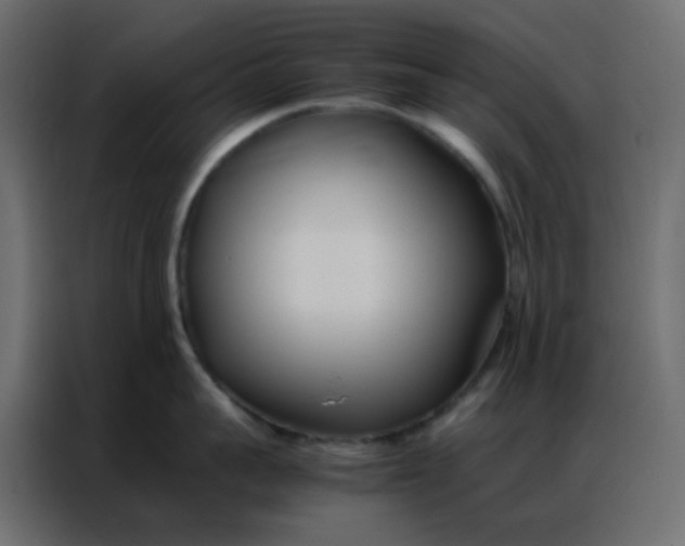 X0000086790959200705041546