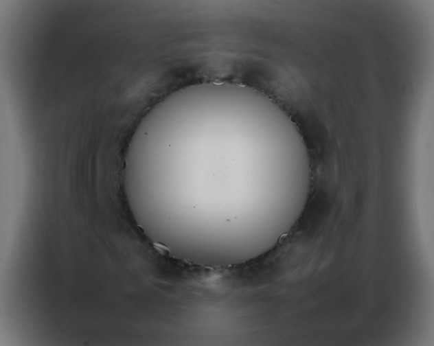 X0000086790961200705041545