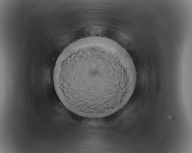 X0000086790962200705041545