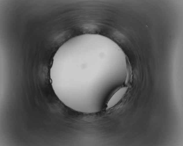 X0000086790964200705041545