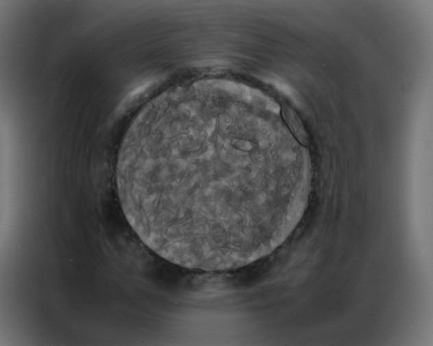 X0000086790967200705041545