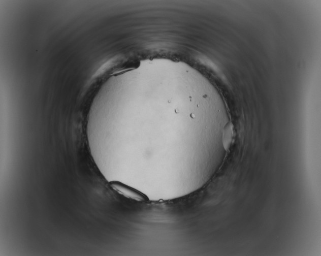 X0000086790968200705041545