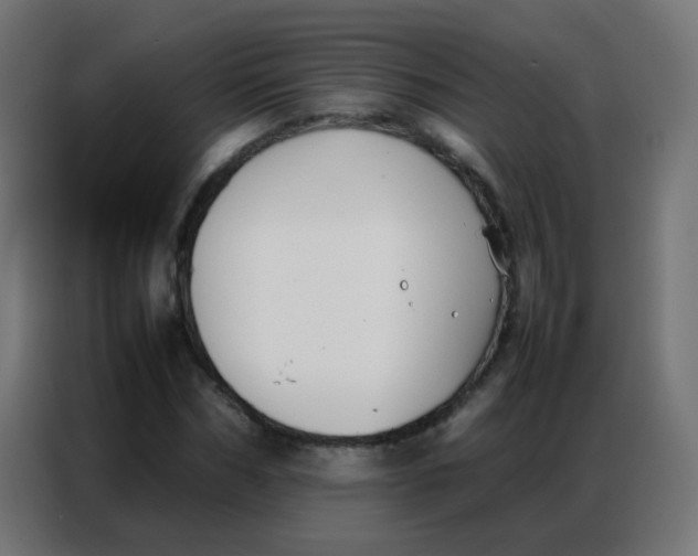 X0000086790970200705041545