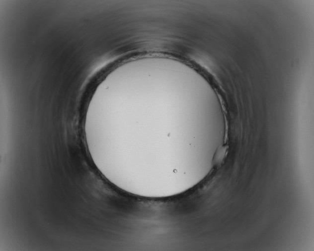 X0000086790971200705041545