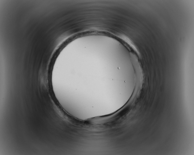 X0000086790972200705041545