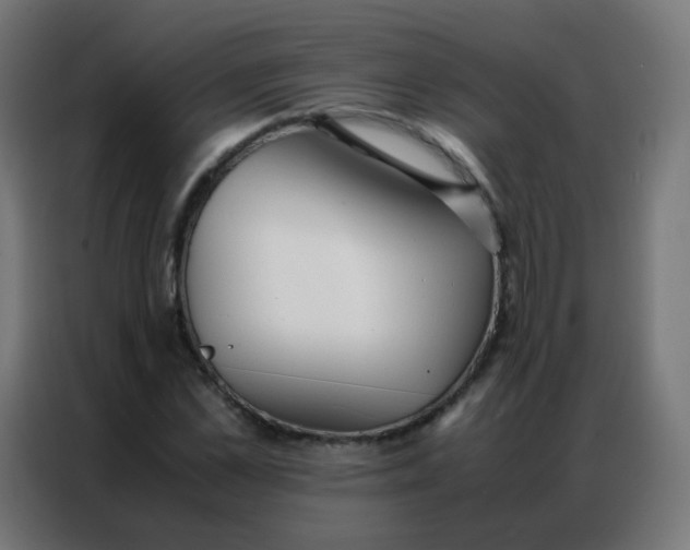 X0000086790973200705041545