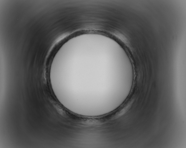 X0000086790974200705041545