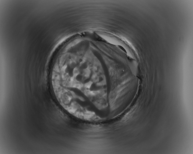 X0000086790975200705041545