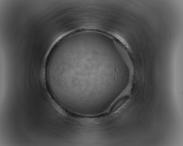 X0000086790976200705041545