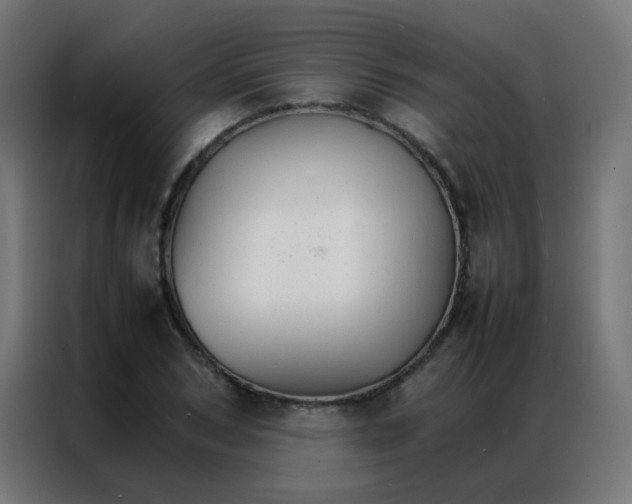 X0000086790978200705041545