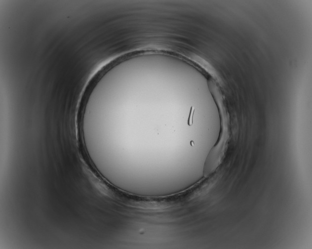 X0000086790980200705041545