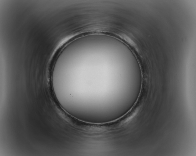 X0000086790981200705041545