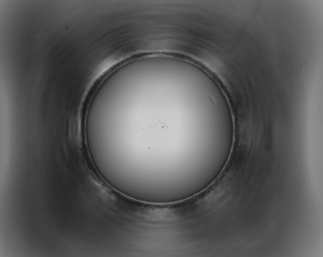 X0000086790982200705041545