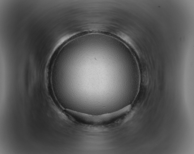 X0000086790983200705041545