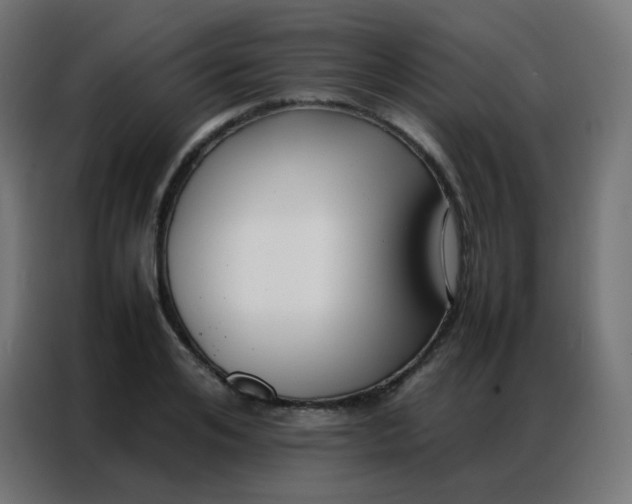 X0000086790984200705041545