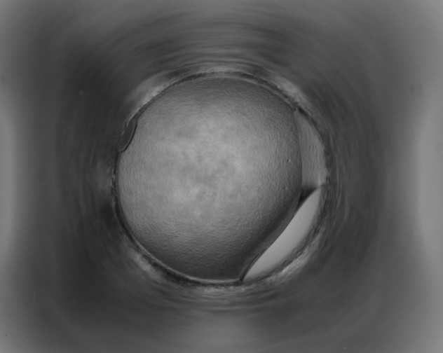 X0000086790985200705041545