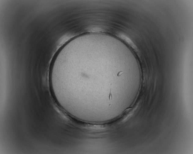 X0000086790986200705041545