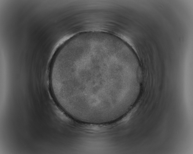 X0000086790987200705041545