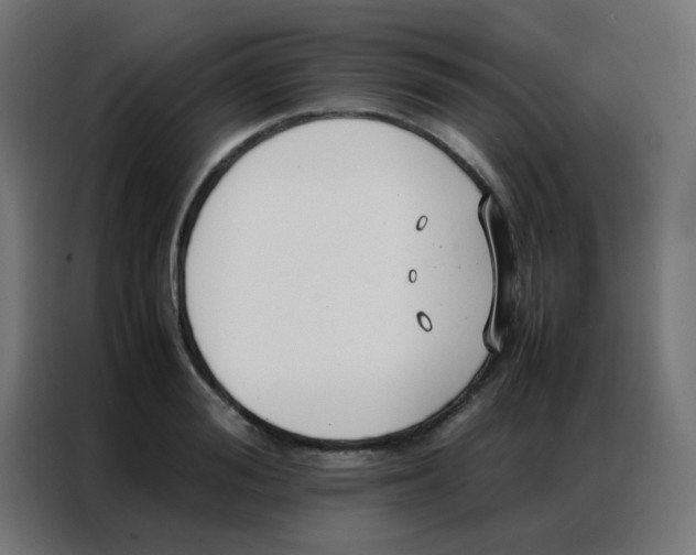 X0000086790988200705041545