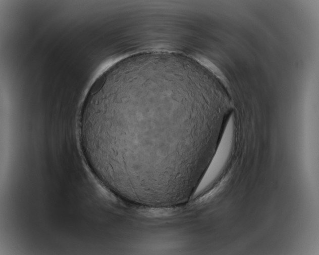 X0000086790989200705041545