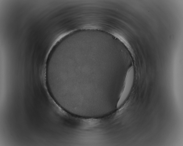 X0000086790992200705041545