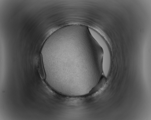 X0000086790993200705041545