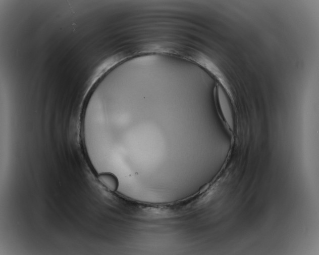 X0000086790994200705041545