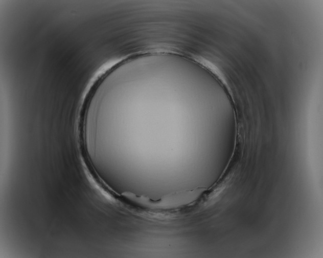 X0000086790995200705041544