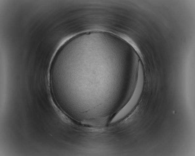 X0000086790996200705041544