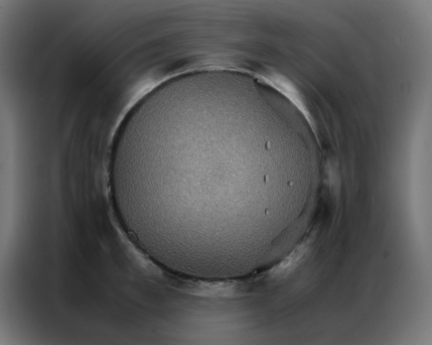 X0000086790997200705041544