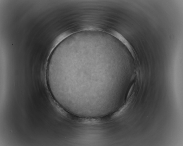 X0000086791002200705041544