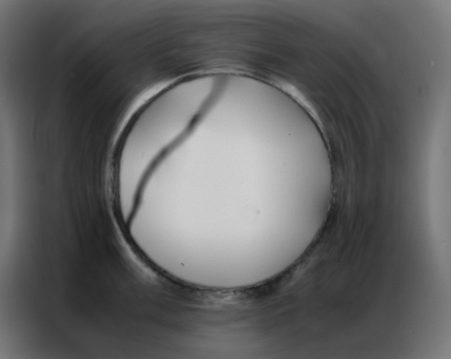 X0000086791003200705041544