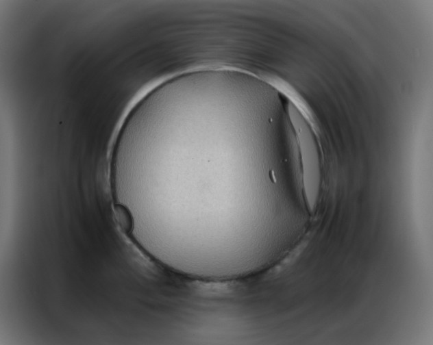 X0000086791004200705041544