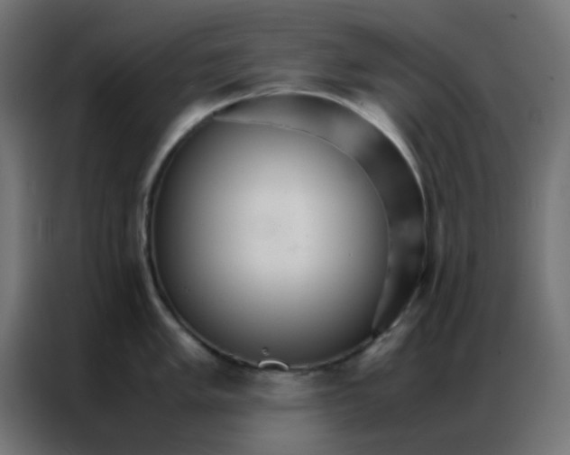 X0000086791005200705041544