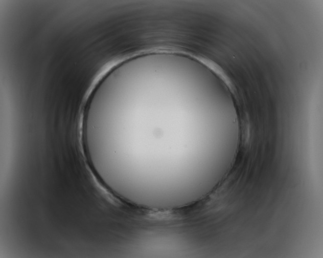 X0000086791006200705041544