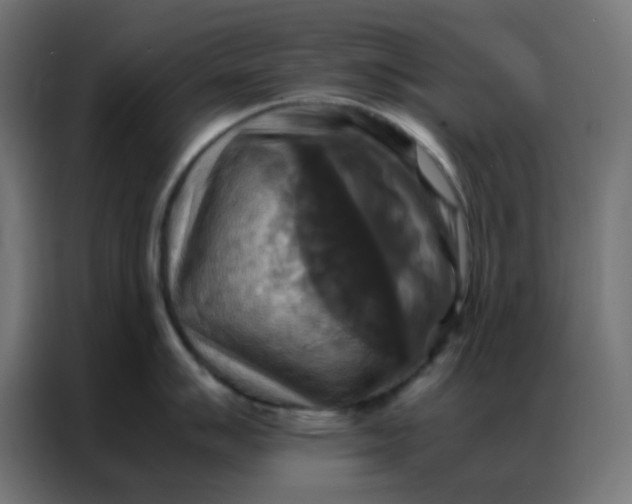 X0000086791007200705041544