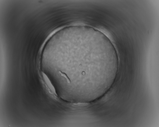 X0000086791008200705041544