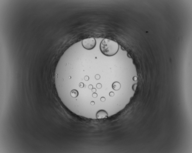 X0000086791009200705041544